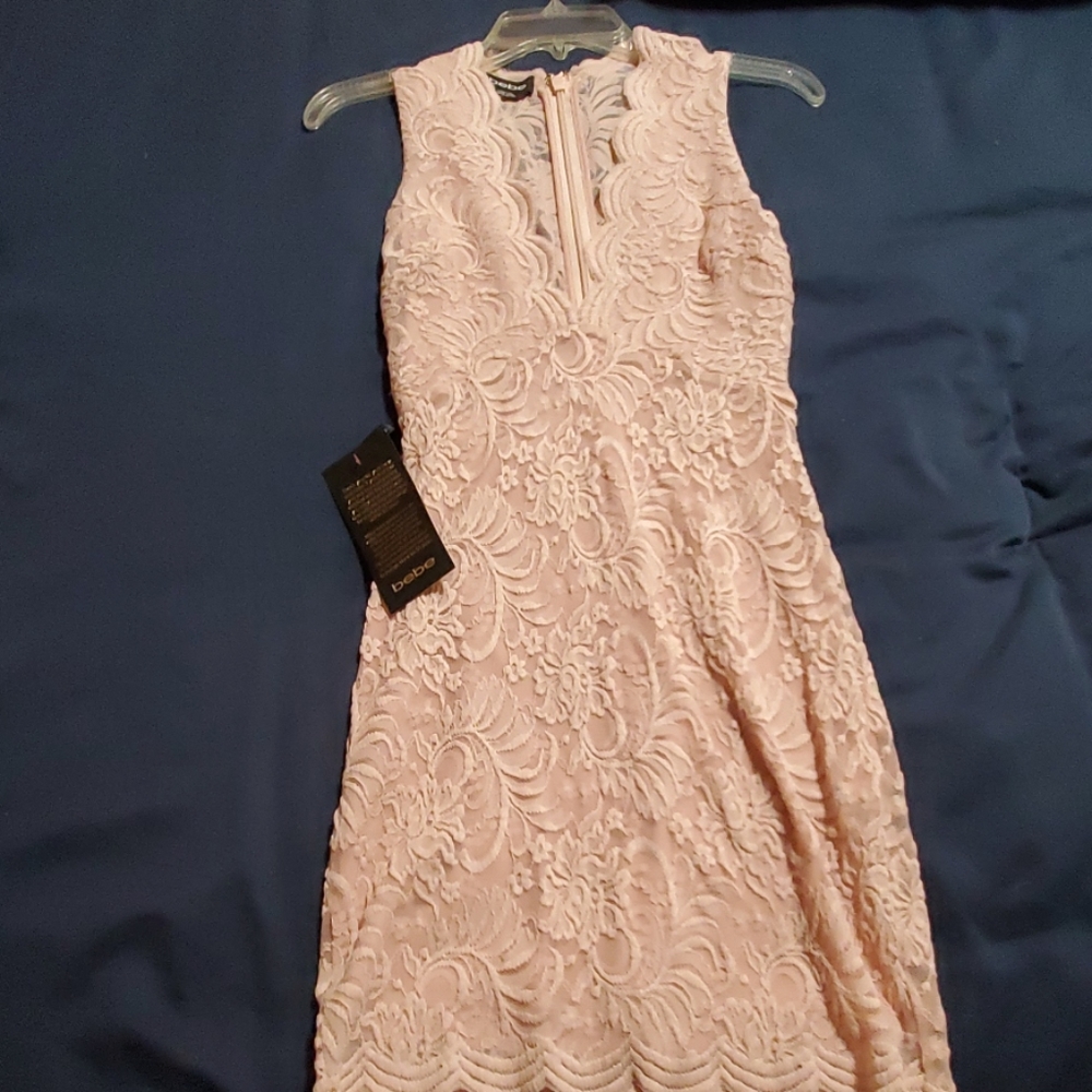 Bebe Blush Pink Dress